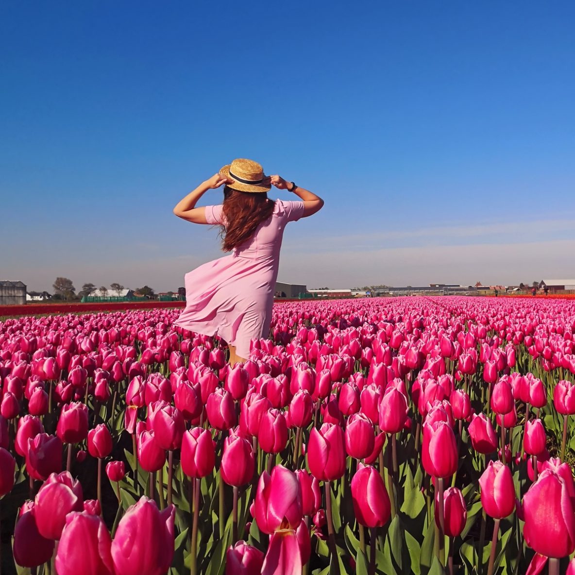 Girl in the middle of a rose field ,springtime ,best places to visit in Germany
