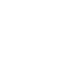 Einkaufswagen-Icon